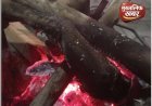 अलाव के नाम पर खानापूर्ति, सवालों के घेरे में नगरपंचायत की कारगुजारी, राहगीरों को मिल रही सिर्फ ठंडी राख...?