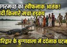 "हरिद्वार में मगरमच्छ का कहर: 12 साल के मासूम को बनाया शिकार"