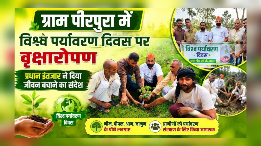 ग्राम पीरपुरा में विश्व पर्यावरण दिवस पर वृक्षारोपण, प्रधान इंतज़ार ने दिया जीवन बचाने का संदेश