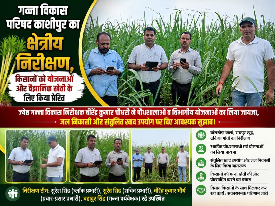 गन्ना विकास परिषद काशीपुर का क्षेत्रीय निरीक्षण, किसानों को योजनाओं और वैज्ञानिक खेती के लिए किया प्रेरित