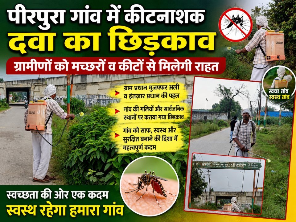 पीरपुरा गांव में कीटनाशक दवा का छिड़काव, ग्रामीणों को मच्छरों व कीटों से मिलेगी राहत