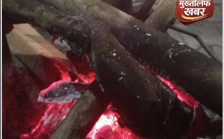 अलाव के नाम पर खानापूर्ति, सवालों के घेरे में नगरपंचायत की कारगुजारी, राहगीरों को मिल रही सिर्फ ठंडी राख...?