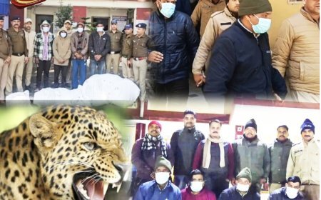 गुलदार की खाल के साथ चार वन्यजीव तस्कर गिरफ्तार, चाचा-भतीजे की जोड़ी भी शामिल..