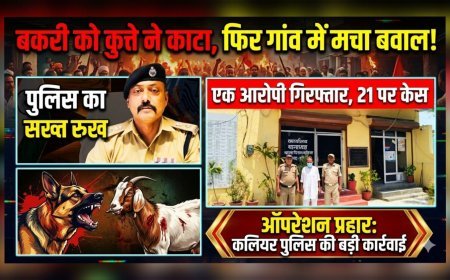 बकरी को कुत्ते ने काटा, फिर गांव में मचा बवाल! बलवा और मारपीट मामले में 21 पर केस, एक आरोपी गिरफ्तार