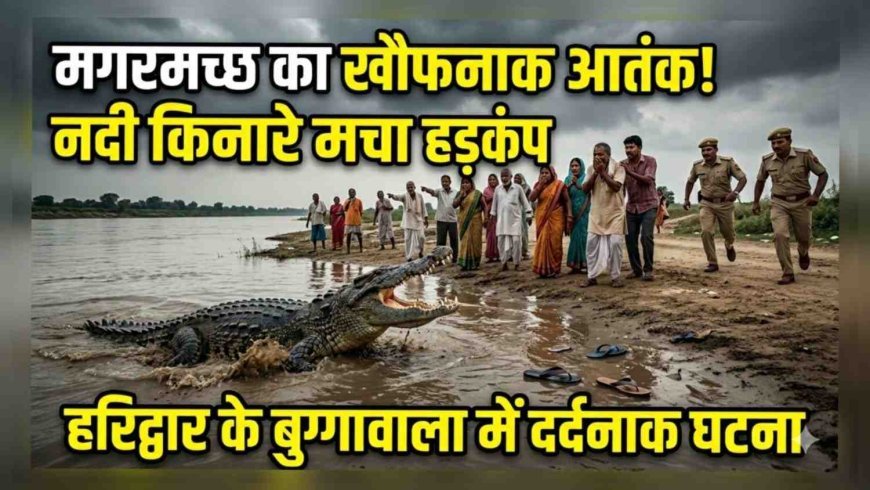 "हरिद्वार में मगरमच्छ का कहर: 12 साल के मासूम को बनाया शिकार"