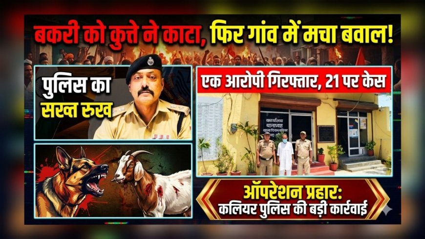 बकरी को कुत्ते ने काटा, फिर गांव में मचा बवाल! बलवा और मारपीट मामले में 21 पर केस, एक आरोपी गिरफ्तार